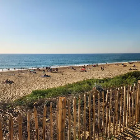 Les Dunes 6 Personnes, Piscines, Proche De La 온드라스